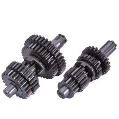 ŞANZIMAN KARACA TİP cg