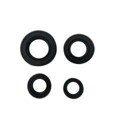 KEÇE TAKIMI SPACY - SPONTINI -ACTİVA