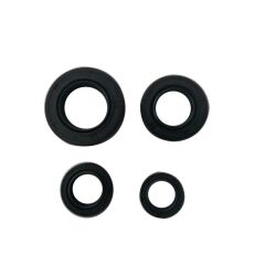 KEÇE TAKIMI SPACY - SPONTINI -ACTİVA