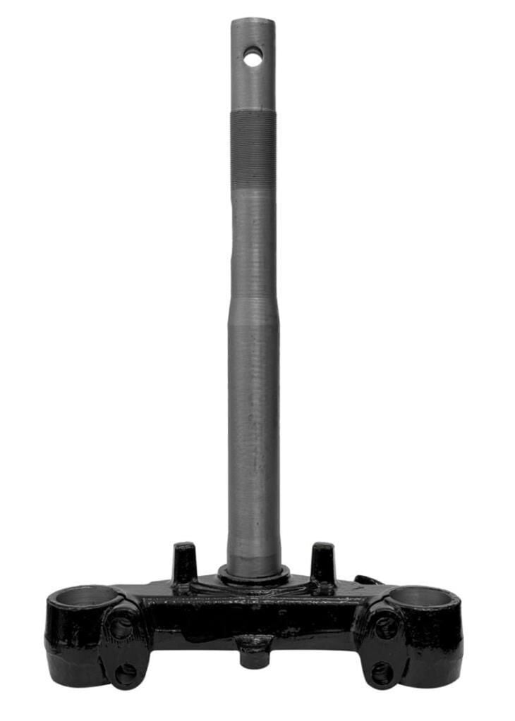 ÖN MAŞA KUBA ZENZERO