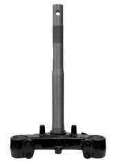 ÖN MAŞA KUBA ZENZERO