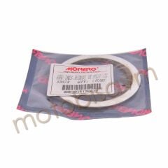 ARKA DİŞLİ SEGMANI CG