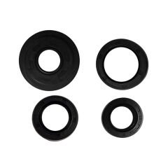 KEÇE TAKIMI SET SPACY 110 - SPONTINI 110