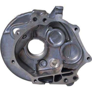 ŞANZIMAN KAPAĞI  SPACY