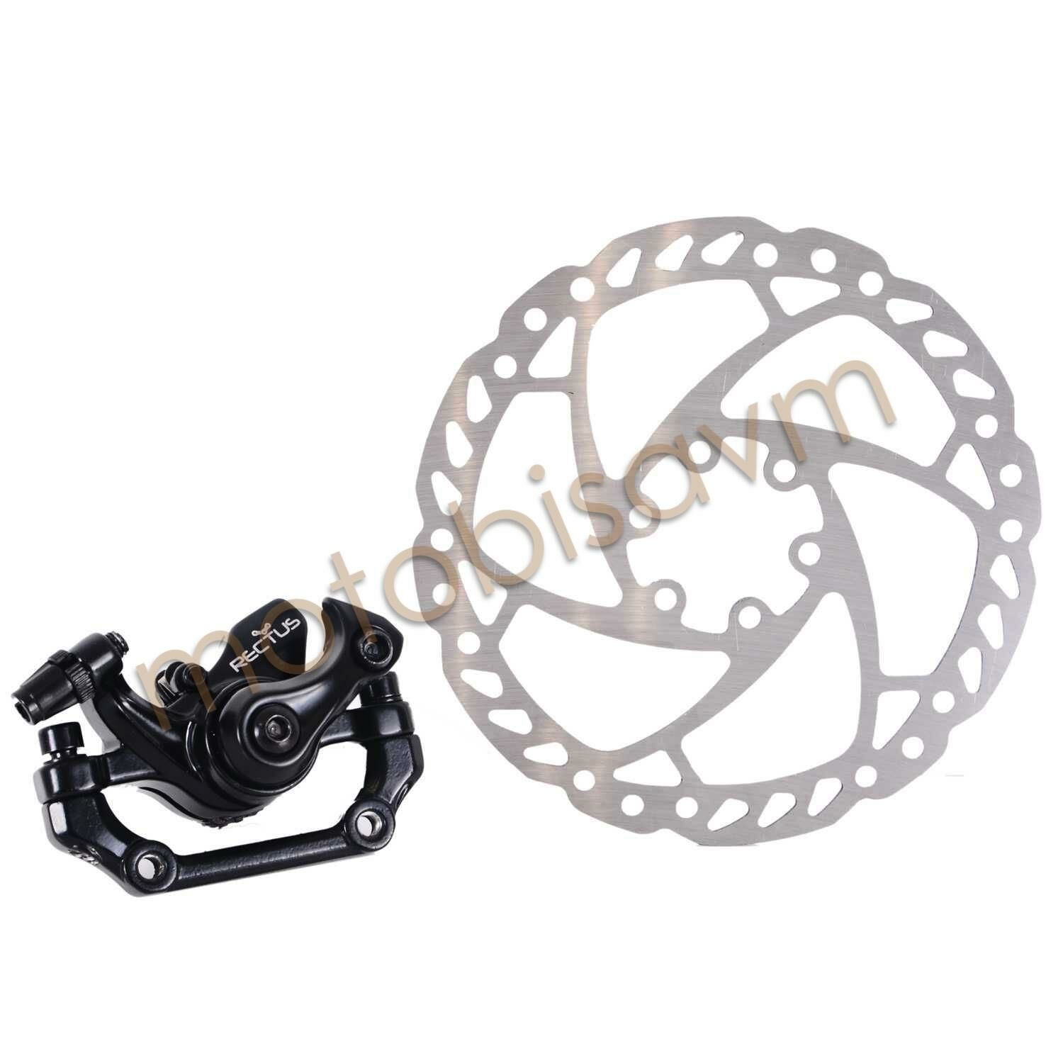 DİSK FREN ARKA + ROTOR  RECTUS  [LOGAN DX-2005]