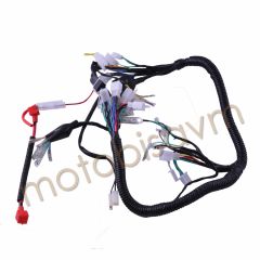 ELEKTRİK TESİSATI CG - 4+2