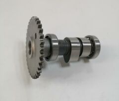 EKSANTRİK MİLİ Scooter 150 - ATV LINHAI 200